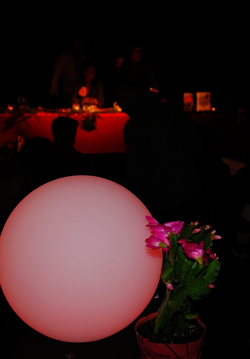 BlaetterRauschen1212 (10)